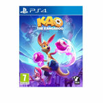 1ddf7a3995666684e753950ee477f544 PS4 Kao the Kangaroo