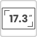 17.3