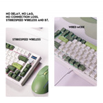d3fc6aa1ed4d55a205c52e02b8596169 Tastatura Mehanicka Gaming Fantech MK910 RGB Vibe Maxfit 81 Milky Matcha Wireless (Yellow switch)