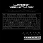 0e642782ded188e09ea85ccc82d72b74 Tastatura Mehanicka Gaming Fantech MK910 RGB PBT Maxfit81 Frost Wireless bela (yellow switch)