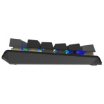 7f2871af04ebc0870f0c1299afee8c83 A4 TECH FS100 FSTYLER USB Neon Backlit US crna tastatura