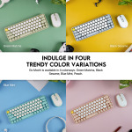 16b5f43b09875cce1a492b68c586ac8a Combo mis tastatura wireless Fantech WK-896 GO Mochi65 sivi