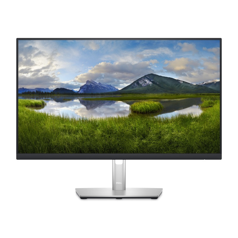 030ce7aa03a603efddd49ba9e029f449 DELL OEM 23.8 inch P2422H Professional IPS monitor