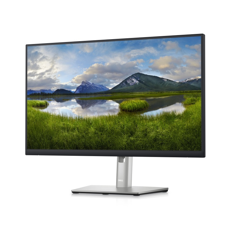 51d277cd0c2d3bf5d4fd3884bc289c22 DELL OEM 23.8 inch P2422H Professional IPS monitor
