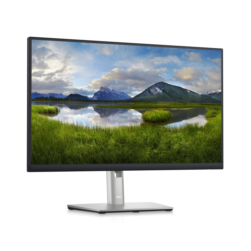 901731d23b81820bad48ed974f3881bb DELL OEM 23.8 inch P2422H Professional IPS monitor
