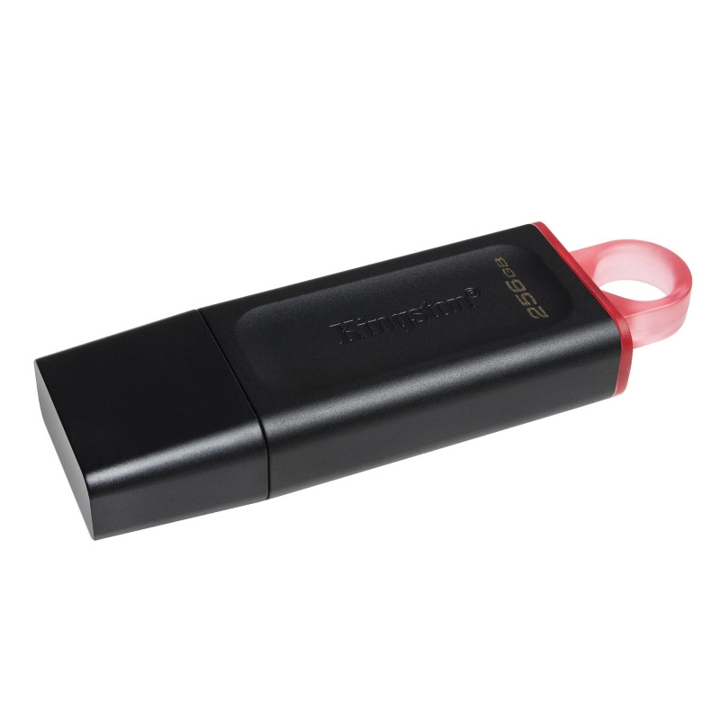 988e00b7d8b9f416d4fd9e7ae079d912 USB memorija KINGSTON DTMAXA/256GB/DataTraveler Max/3.2/crna