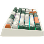 86238fda9175437d8ba40234a3d2fee1 CANYON keyboard Shadder GKW-11 Mech RGB UK/US Wireless
