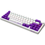 c8c185efe73cc0715321df7a8ead5dfc LORGAR KBP70MW, Wireless 65% Mechanical Gaming Keyboard Pro, White, EN