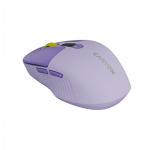 be49a441d904ad359d235bbaf9b8b0b1 CANYON mouse MW-26 LCD Silent Dual Mode Wireless