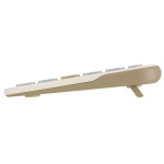 0c49d58c84a9b4afbb1671a2a27bcab8 ASUS KW100 Marshmallow Wireless tastatura BG