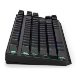 bccc9167974f69c03c049e9c19a39a1d ENDORFY Thock TKL Wireless Red RGB tastatura (EY5A080)