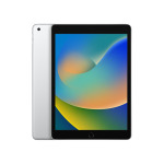 31af2614d0fccc3169126cbfbac43b93 APPLE iPad 9th Gen 10.2 inch A13 WiFi 256GB Silver (fk2p3ll/a)