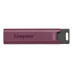 525a2bfffb09895586951fdf71696533 USB memorija KINGSTON DTMAXA/256GB/DataTraveler Max/3.2/crna