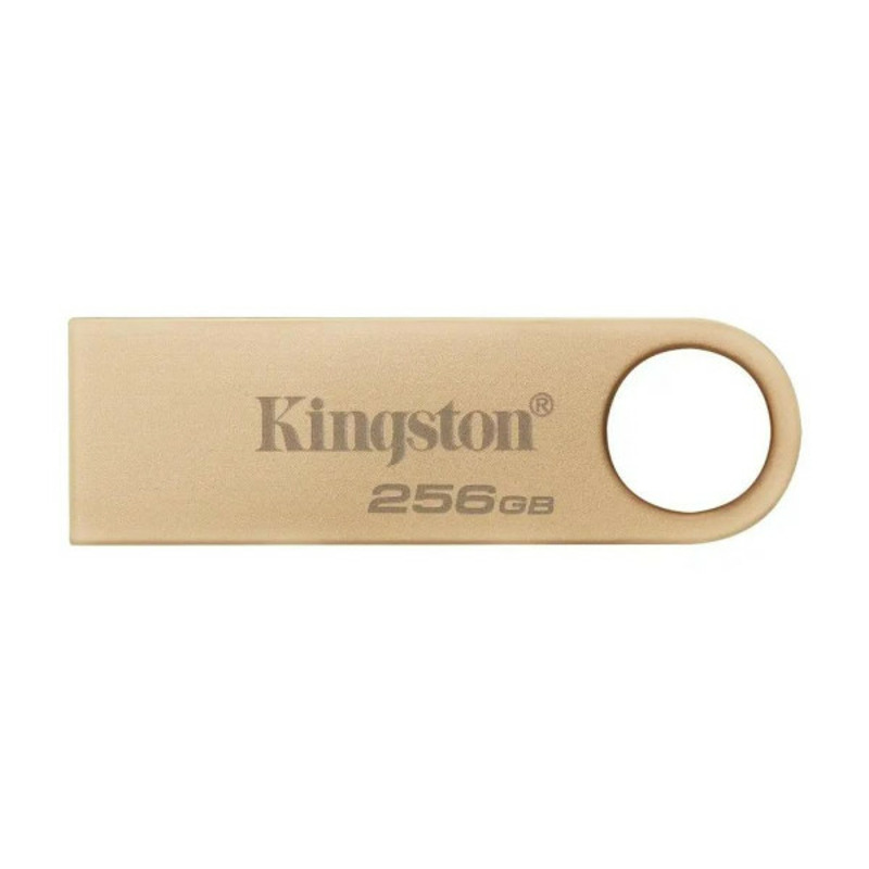 324126e83142eb3661cbb14162598624 USB Flash Kingston 256GB DataTraveler SE9 G3 USB3.2, DTSE9G3/256GB
