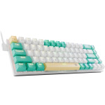 eb420124248aaef18f801ac9b58fc4db Tastatura Defender Vexx GK-084 mehanička